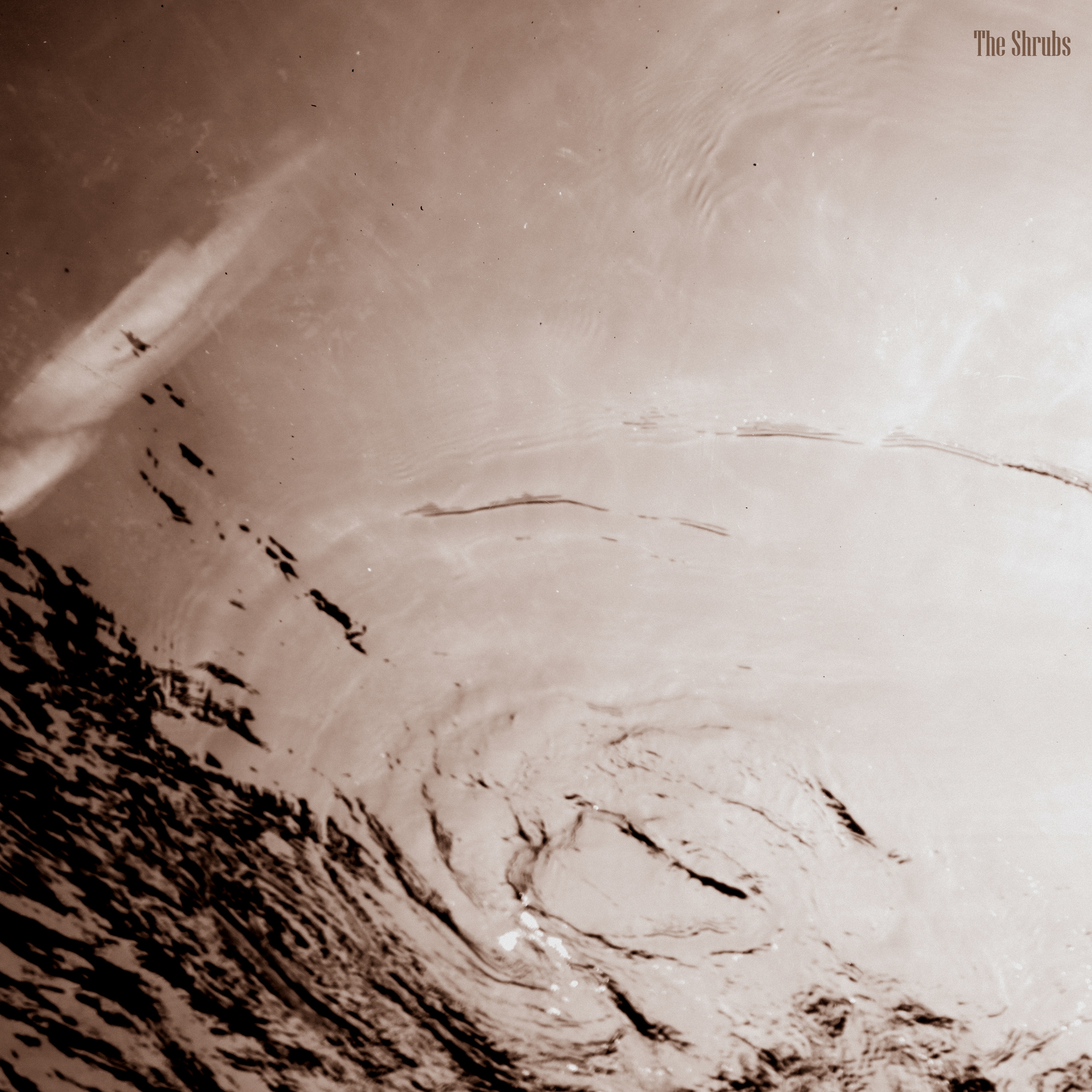 The Shrubs Chat “Let Us In,” Upcoming Album, and More